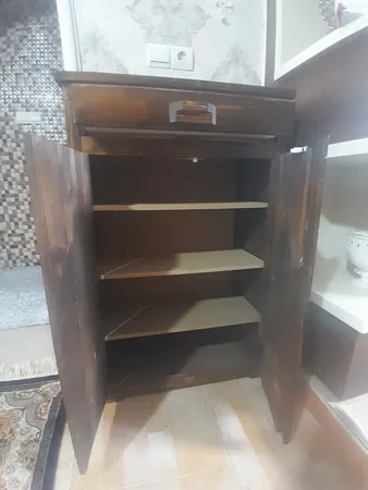 جاکفشی مدل نگار