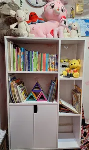 تجریه خرید کتابخانه مدل رویسان r۲۰