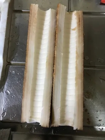 فیلتر دستگاه تصفیه کننده آب لابستر مدل 005 مجموعه 5 عددی