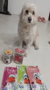 تجریه خرید غذای تشویقی سگ تیدبیت مدل Mix-Bit وزن 160 گرم