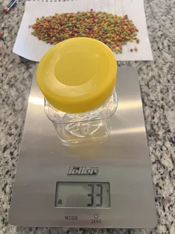 غذای عروس هلندی مدل پلت میوه ای وزن 100 گرم