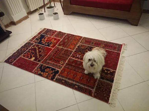 عکس ارسالی خریدار