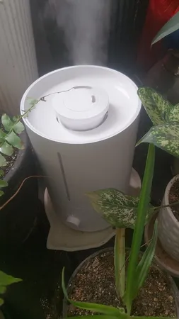 دستگاه بخور سرد میجیا مدل Humidifier 2 Lite MJJSQ06DY