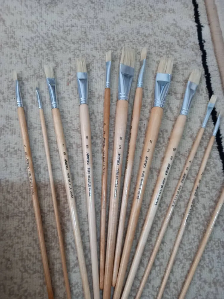 قلم مو تخت ماریس کد 579 مجموعه 12 عددی