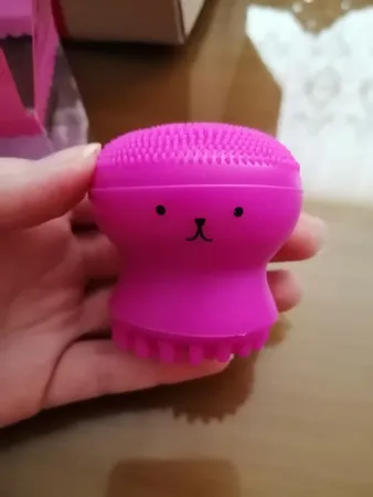 برس پاک‌سازی مدل B 0101