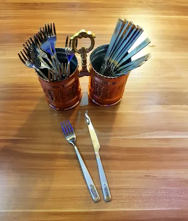 سرویس کارد و چنگال 12 پارچه نیوهوم طرح هخامنش