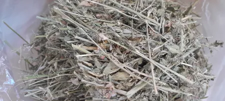 یونجه خشک خرگوش و خوکچه خرگوشک مدل A001 وزن 1000 گرم