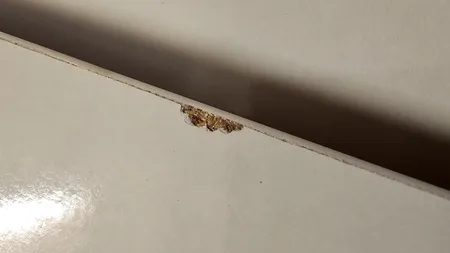 شلف دیواری کد 6775 بسته 3 عددی