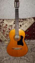 گلپیدور گیتار مدل B050