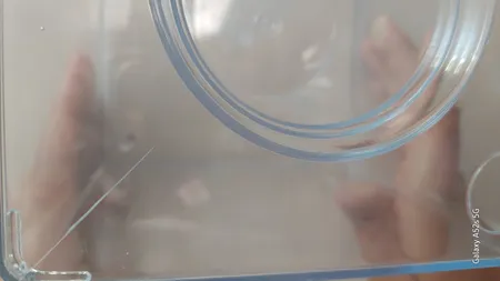 گلدان طرح آکواریوم کد ck106