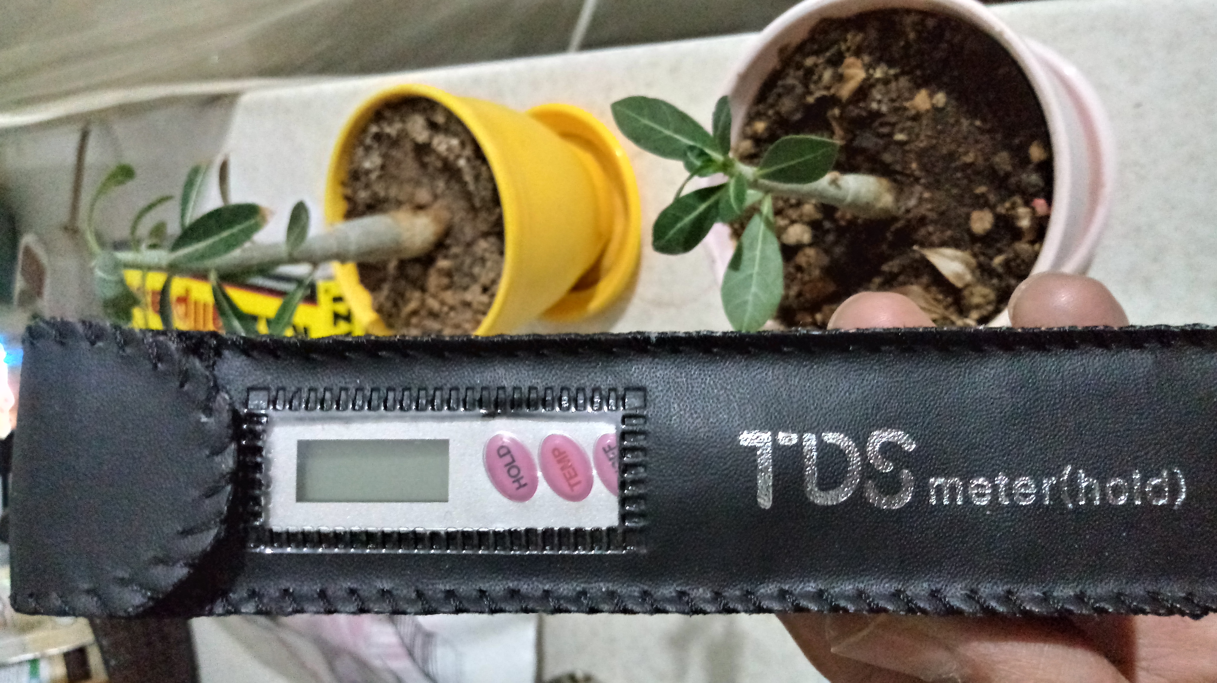 سختی سنج آب لابستر مدل TDS/TEMP01