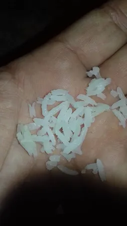 برنج ایرانی طارم فجر - 10 کیلوگرم