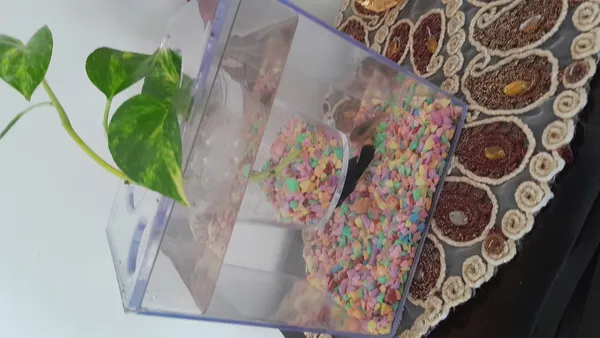 عکس ارسالی خریدار