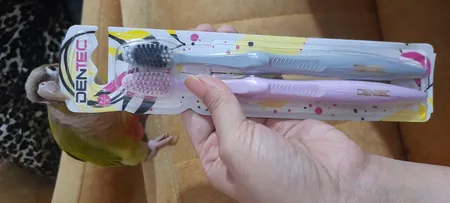 مسواک دن تک مدل Easy Clean با برس خیلی نرم مجموعه 2 عددی