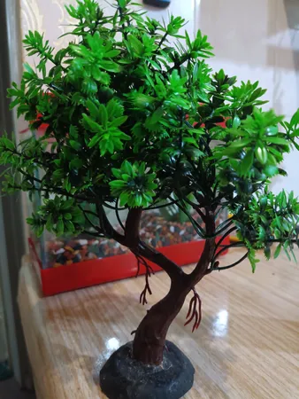 گیاه تزیینی آکواریوم مدل درختچه کد 1