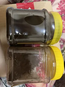 معجون سه شیره بوعلی سینا - 500 گرم