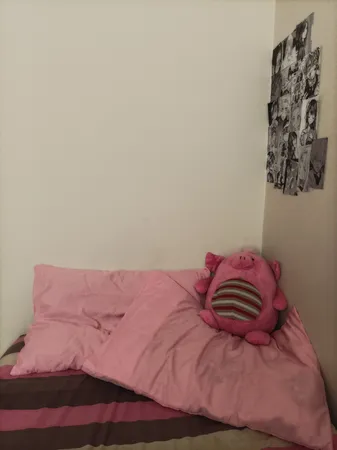 رو بالشی بومرنگ مدل Plain بسته 2 عددی