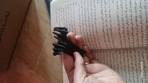 تجریه خرید نشانگر کتاب طرح دست وحشت