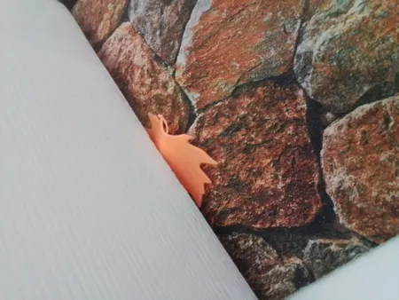 نگهدارنده در تک مدل برگ