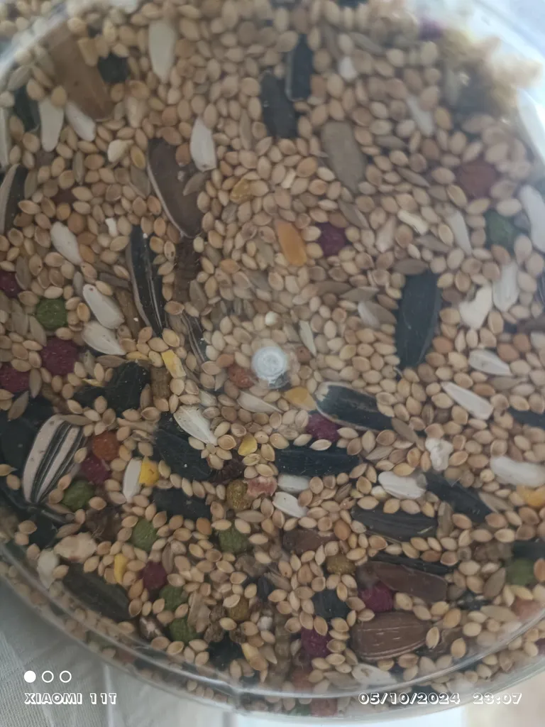 غذای مخلوط طوطی توییتی مدل 001 وزن 1 کیلوگرم