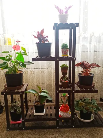 استند گلدان مدل fl9