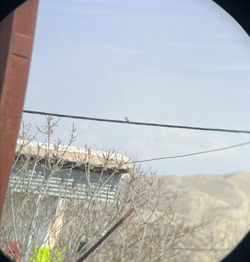 دوربین دوچشمی کومت مدل 10X25 M2021 دوربین دوچشمی کومت مدل 10X25 M2021