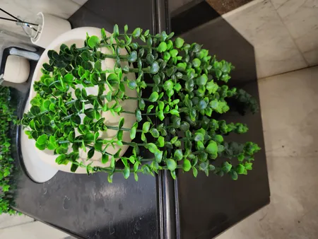 گل مصنوعی مدل آویز شمشاد پا کوتاه