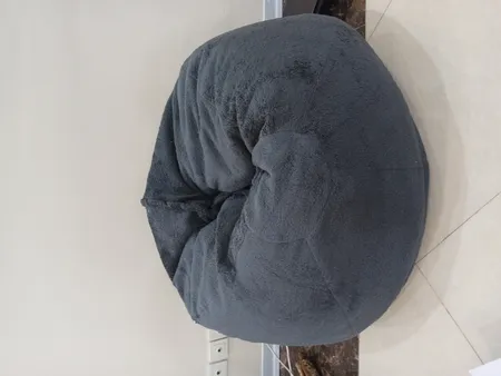 بین بگ مدل بولت