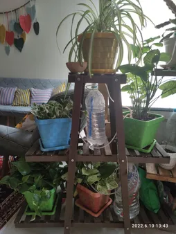 استند گلدان مدل YZ2