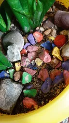 سم قارچ کش بنومیل بسته 30 گرمی