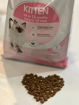 غذای خشک بچه گربه رویال کنین  مدل Kitten  وزن 2 کیلوگرم