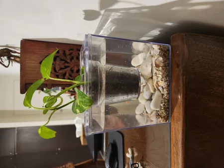 گلدان طرح آکواریوم کد ck106