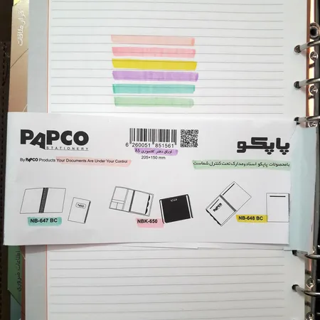 ماژیک علامت گذار پنتر مدل pastel بسته 6 عددی