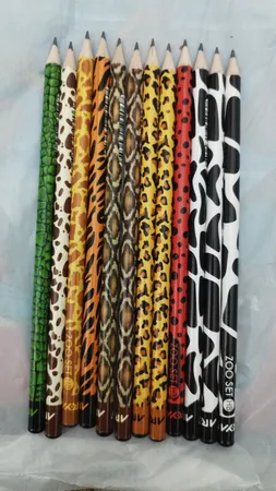 مداد مشکی آریا مدل ZOO SET کدA1 بسته 12 عددی