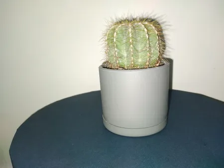 گلدان طرح استوانه مدل مهرنی 7.5-103