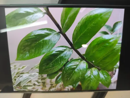 گوشی موبایل شیائومی مدل Redmi Note 13 Pro 4G دو سیم کارت ظرفیت 256 گیگابایت و رم 8 گیگابایت