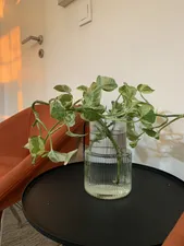 تجریه خرید گلدان شیشه ای مدل دکوری کد 01