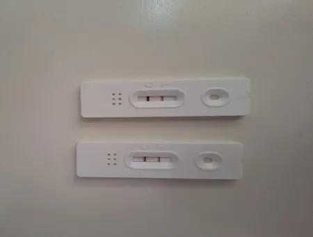 بی بی چک درکا مدل 01 بسته 10 عددی