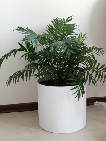 گلدان طرح استوانه مدل 35-103