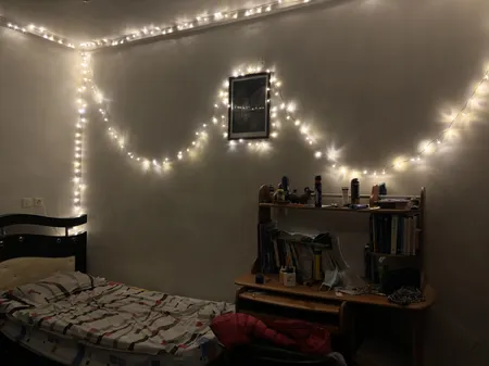 ریسه ال ای دی کد 25025 طول 25 متر