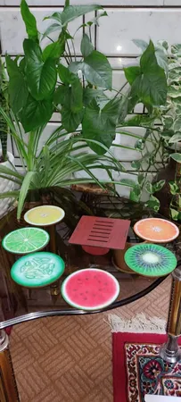 زیرلیوانی ژیوار طرح Fruits