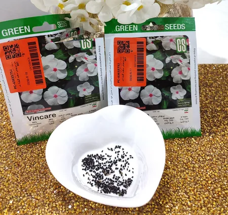 بذر پریوش سفید گیلدا کد 867