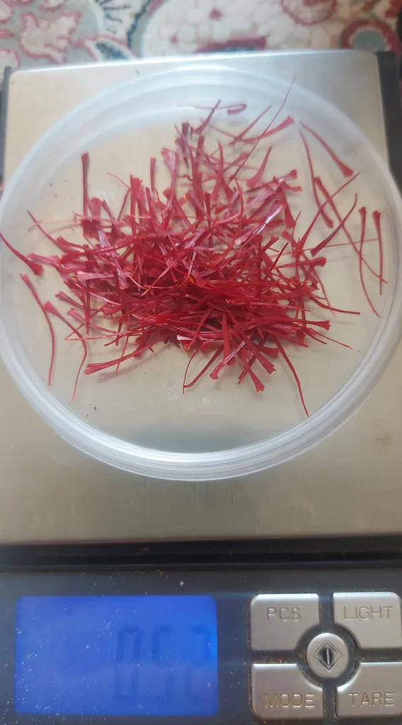 زعفران خاتم هدیه -4.608 گرم