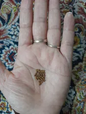 تجریه خرید غذای ماهی آکواریوم کد 1002 وزن 500 گرم