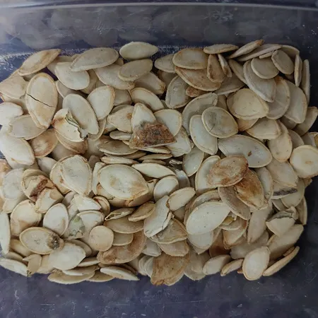 تخمه کدو گوشتی چاپار مقدار 400 گرم