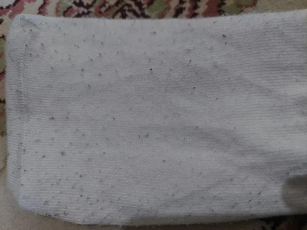 عکس ارسالی خریدار