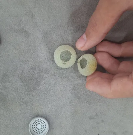 ام پی تری پلیر بند انگشتی پی نت مدل RM-1101