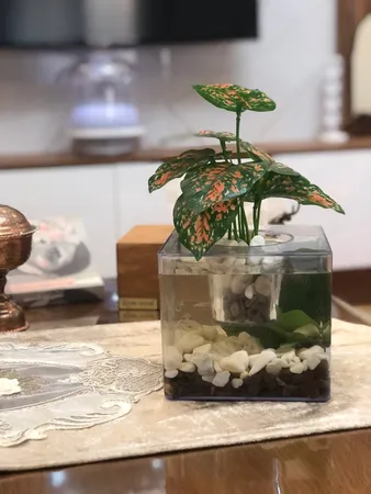 گلدان طرح آکواریوم کد ck106