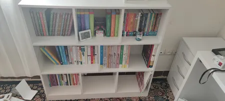 کتابخانه مدل ‌‌pm2010