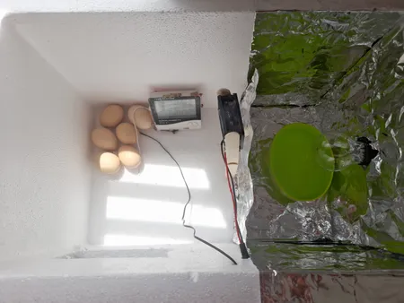 ترموستات دیجیتال مدل XH-W1209